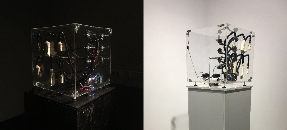 Sentientia, interactive installation, 2019, Dorin Cucicov